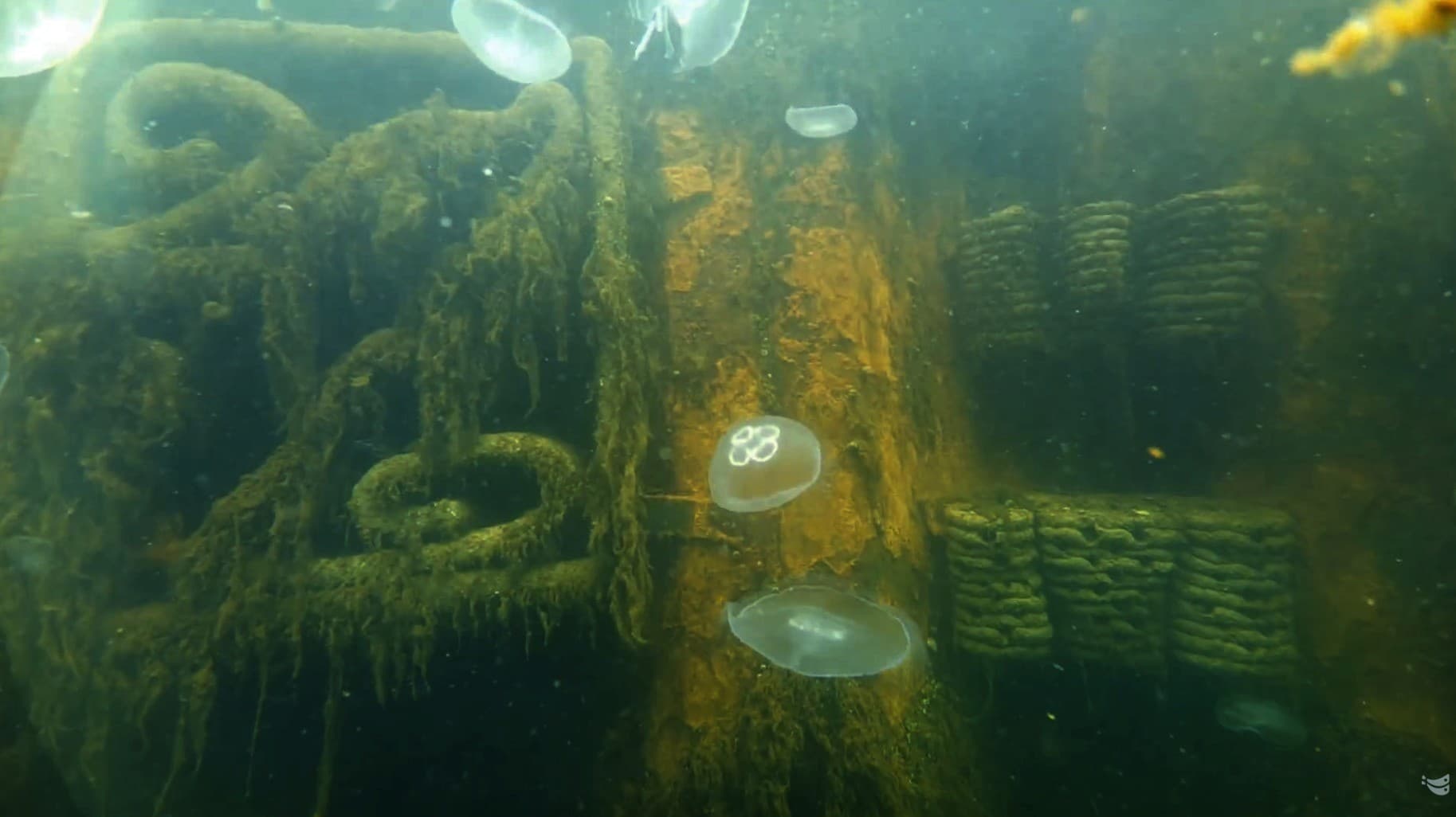 2024 Naturpark Lillebælt – Kanalbyen Fredericia