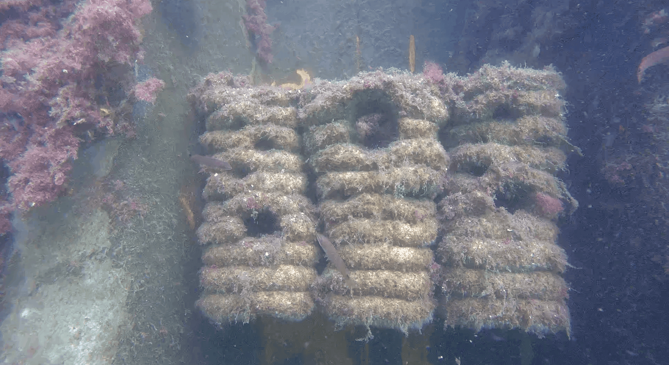 2025 Ørsted – Studstrupværket