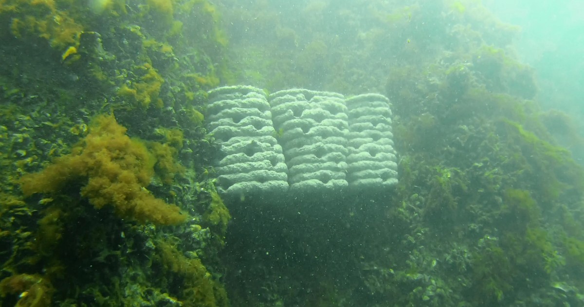 Stonereefs A/S logo